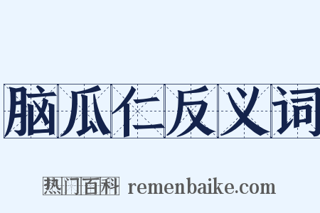 脑瓜仁反义词是什么意思的图片